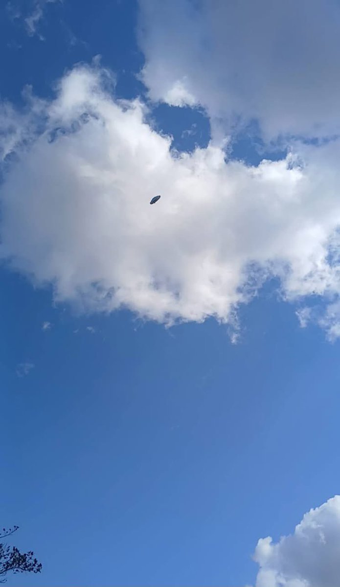 Frater Solis tweet media