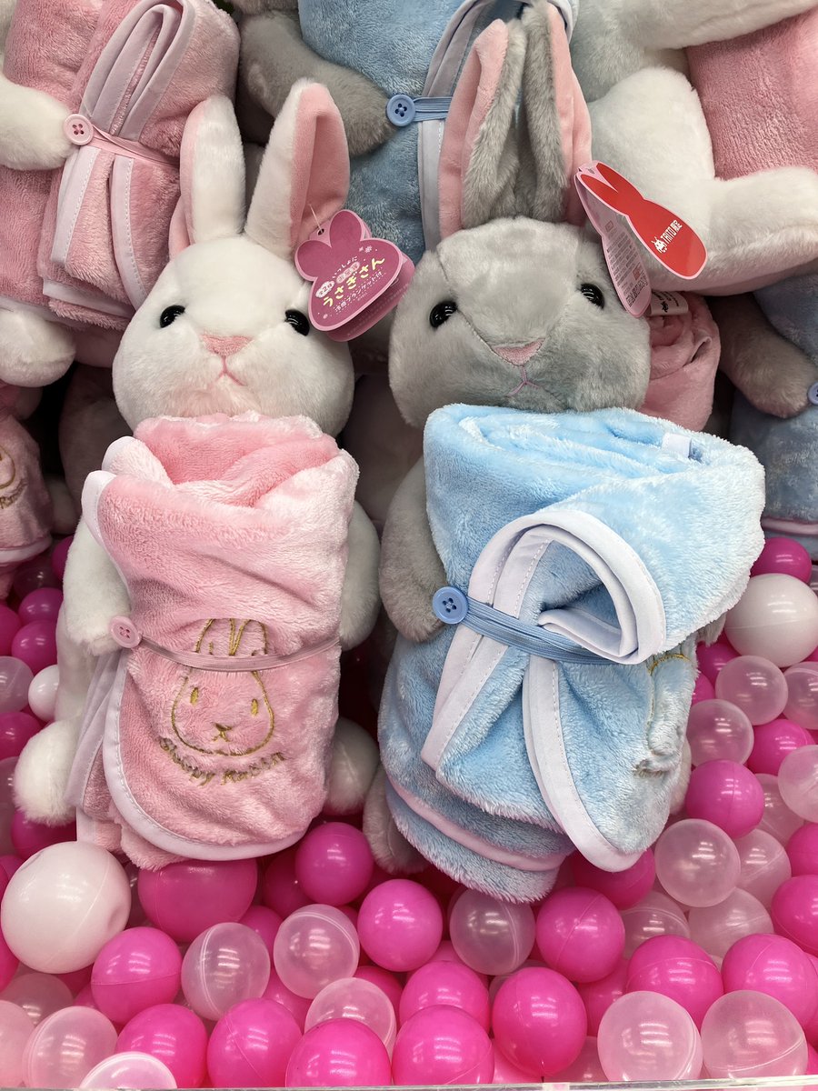 🌟1階プライズコーナー新商品🌟 いっしょにお昼寝うさぎさん 冷感