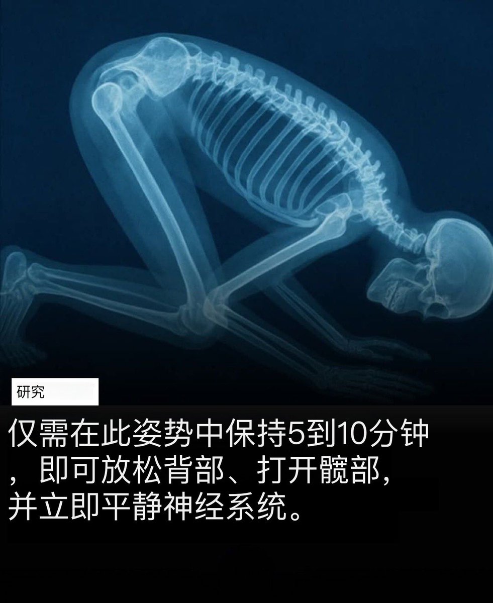 宇峒 tweet media