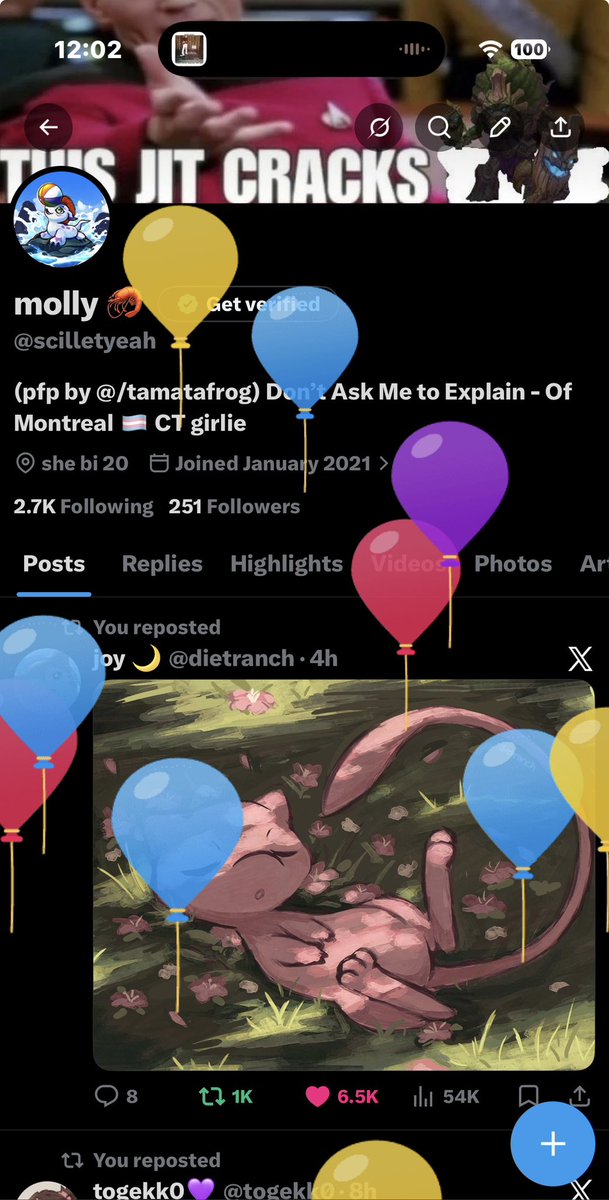 molly 🦐 tweet media