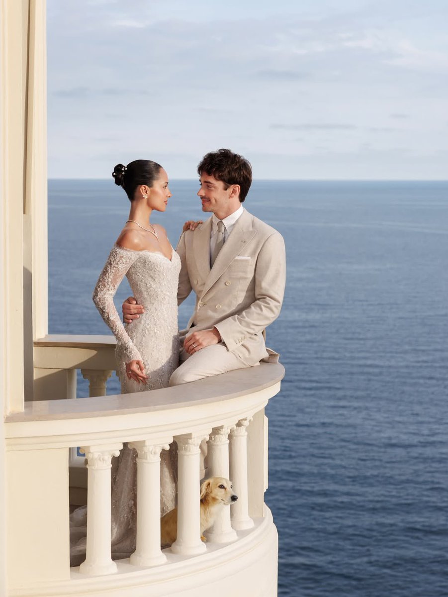 eu tava apaixonado pela foto, aí vi o cachorrinho ali embaixo, puts, me pegou