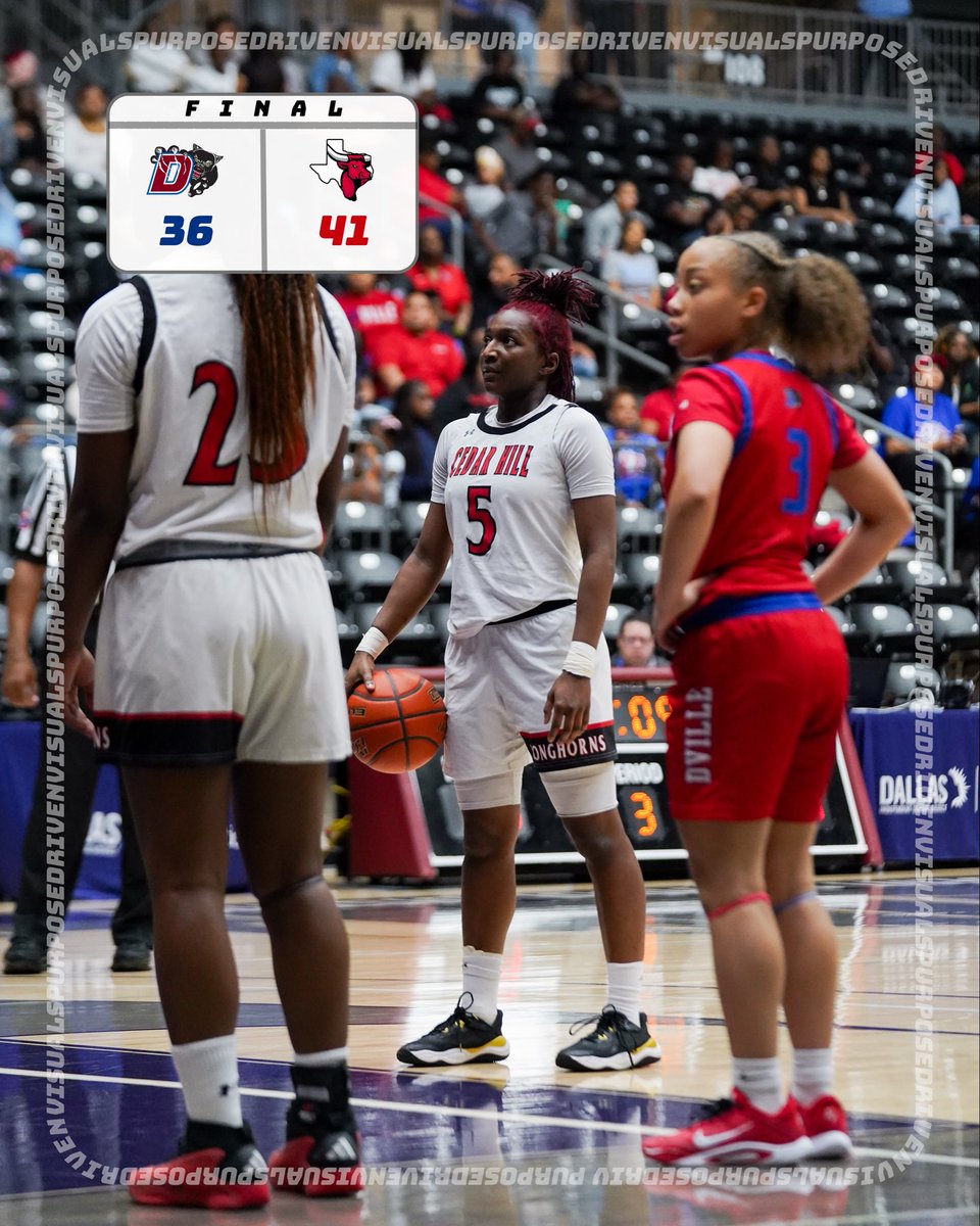 Purpose Driven Visuals tweet media