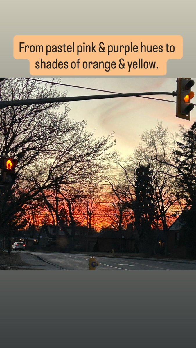 MoniquePilonF's tweet image. Glad I caught a glimpse of the #sunsetting .