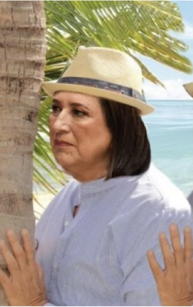 maytte_pereyra's tweet photo. @XochitlGalvez Fuera de lugar estás tú, gelatina derretida alias @xochitlgalvez, ya supéralo, nunca jamás serás presidenta.
#Soporta 👊🏻 https://t.co/Y5t6X9ZFHt