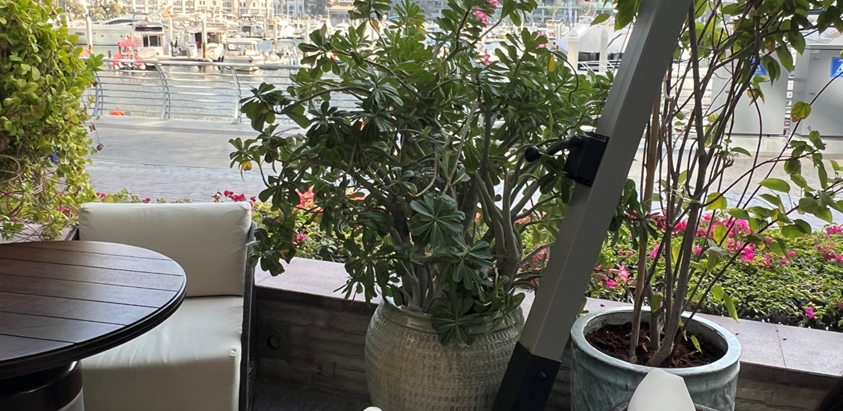 LivingDK_OFC's tweet photo. Dubai Marina is back to its usual calm morning. It feels like the storm is over — quiet, steady, normal again. These moments hit the hardest.

#Dubai #DubaiMarina #LivingDK #Travel #dubaiattacks #AbuDhabi #missile #Iraqi #Israel #ドバイ #두바이 https://t.co/UOmNwe4vdu