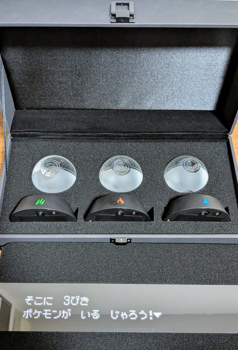 まーみん@ポケモンと暮らす tweet media