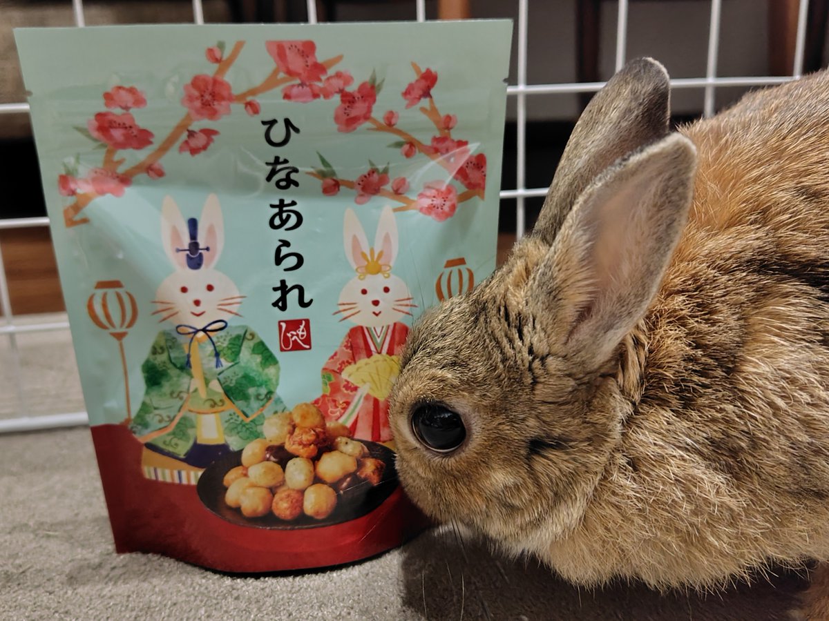 カルディに可愛いひなあられあった🐰🩷
#３月３日はうさぎの日 #うさぎの日 #ひなまつり #うさぎ