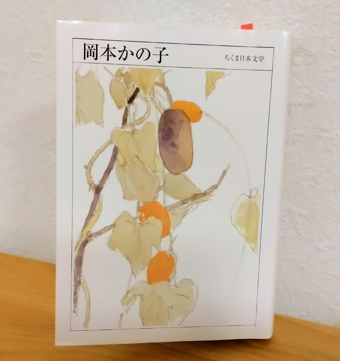 ちくま日本文学  岡本かの子
＃読了
身分違いの幼馴染みの姿を彷彿される金魚作りに没頭する青年を描く「金魚繚乱」。「四郎馬鹿」の一途な恋を描く「みちのく」など。老若男女の艶があり妖艶な姿に引き摺り込まれ他作が気になるが、手頃に手に入る作品があまりなく残念。息子は芸術家の岡本太郎さん。