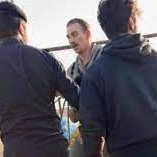 ✦✦✦ 𝙿𝚊𝚖𝚙𝚑𝚕𝚎𝚝𝚜 ✦✦✦ tweet media