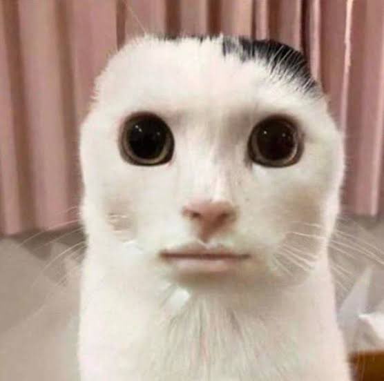 What do you mean you "would love to have the chance to give older character voicelines" and then just pick and choose which one gets new voicelines when given the chance... Yun-Jin's voice actress is still active and couldve got her again alongside Trickster's voice actor