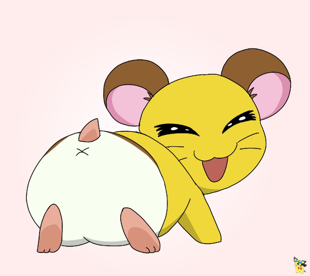 Happy Birthday to the cute hamster Penelope! (3/3) 🐹💛 #ちび丸