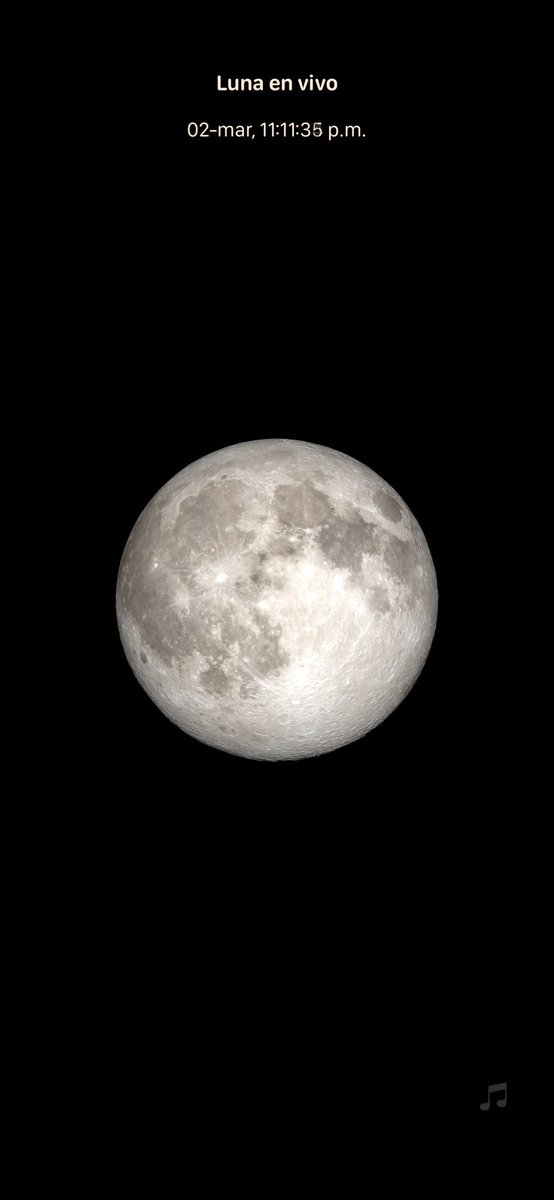 𝔸𝕝𝕖 𝕃𝕖ó𝕟  🪶 tweet media