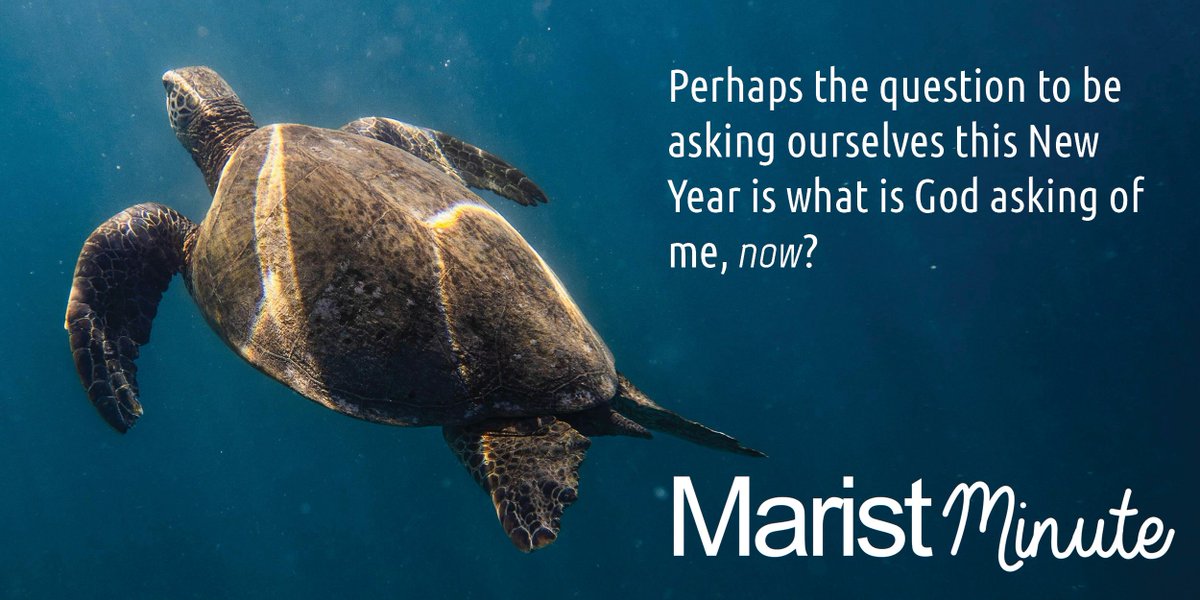 Marist Association tweet media