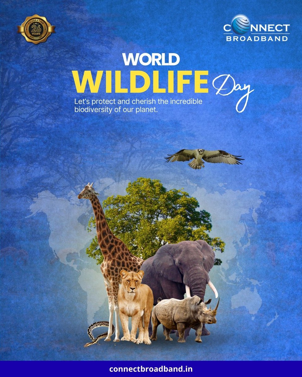 ConnectBB tweet media