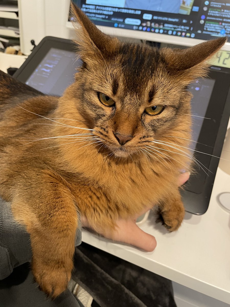 斎夏生『POLICE TRIBE K-9』 tweet media