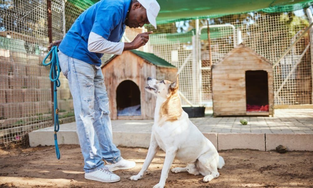  DERKAVUS tweet media