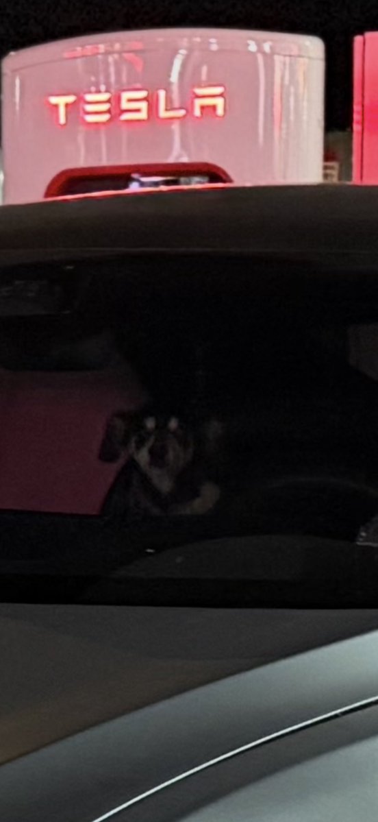 Dan Burkland tweet media