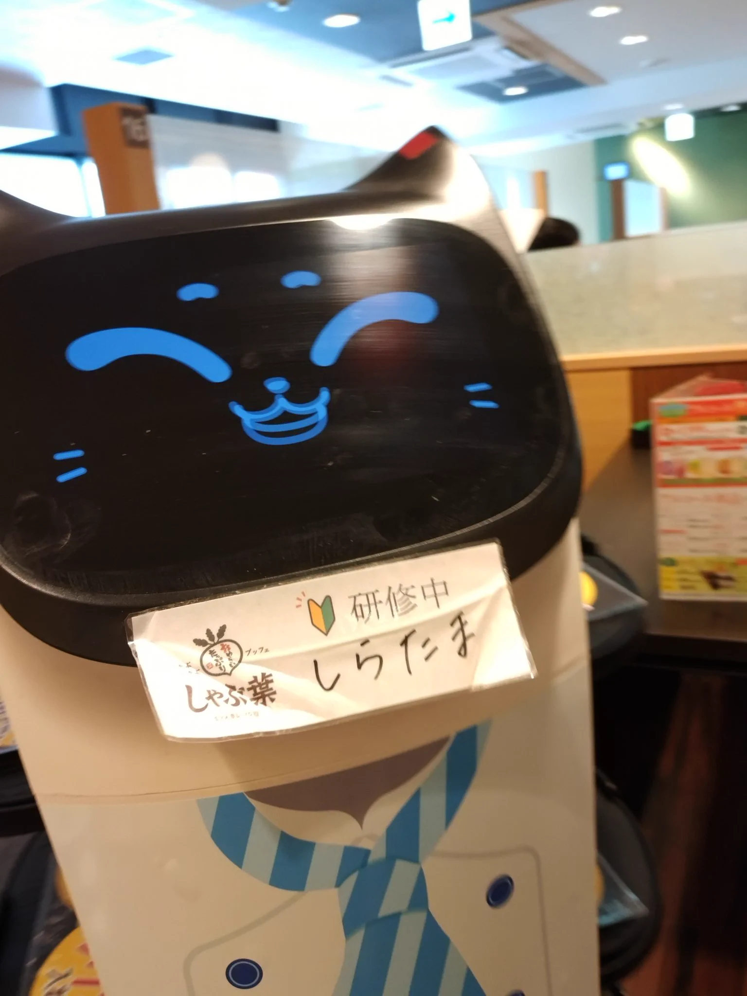 ベラちゃんさん専用 ネコ型配膳ロボット「BellaBot（ベラボット）」｜DFA Robotics on X