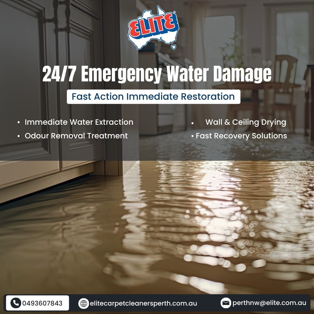 Elite Carpet Cleaner Perth tweet media