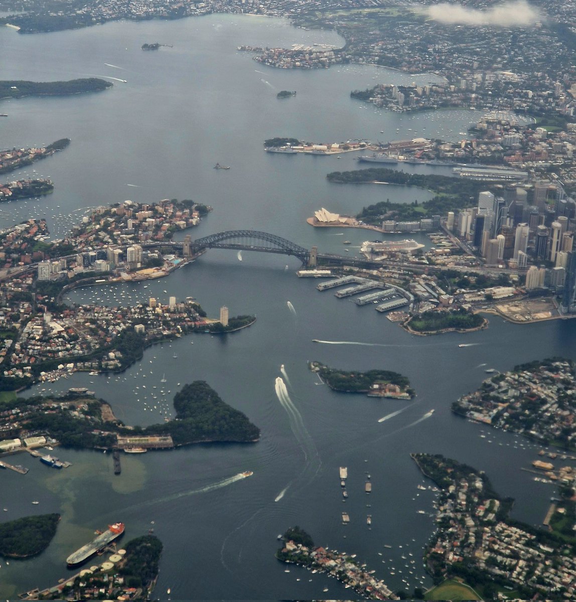 Phillip Horton tweet media