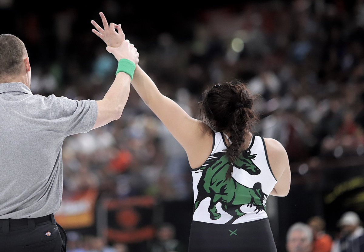 Paul Lambert tweet media