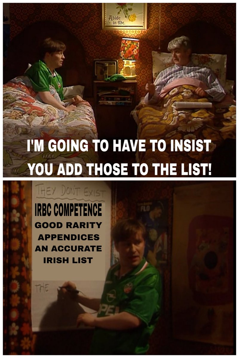 Helsinki Birder tweet media