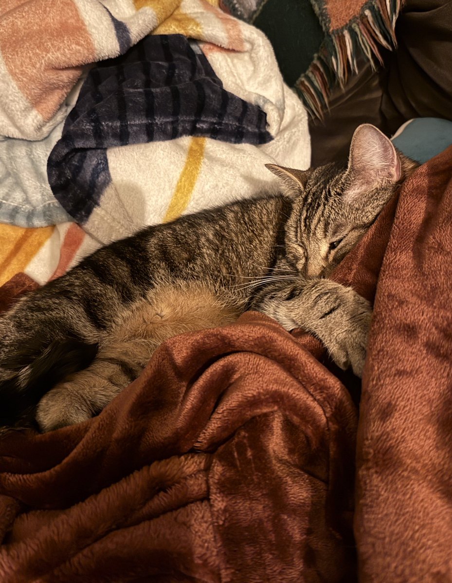 yeah leonardo my actual son whom i birthed is absolutely miserable and hates my guts. he definitely didn’t climb up into my lap ten minutes ago to fall asleep the same way he does every night