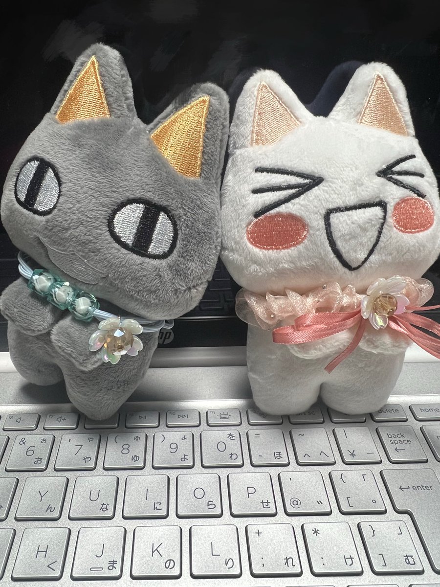 トロちゃんには前からお花つけてたけどクロくんにも昨日買ってあげたよ〜🌸