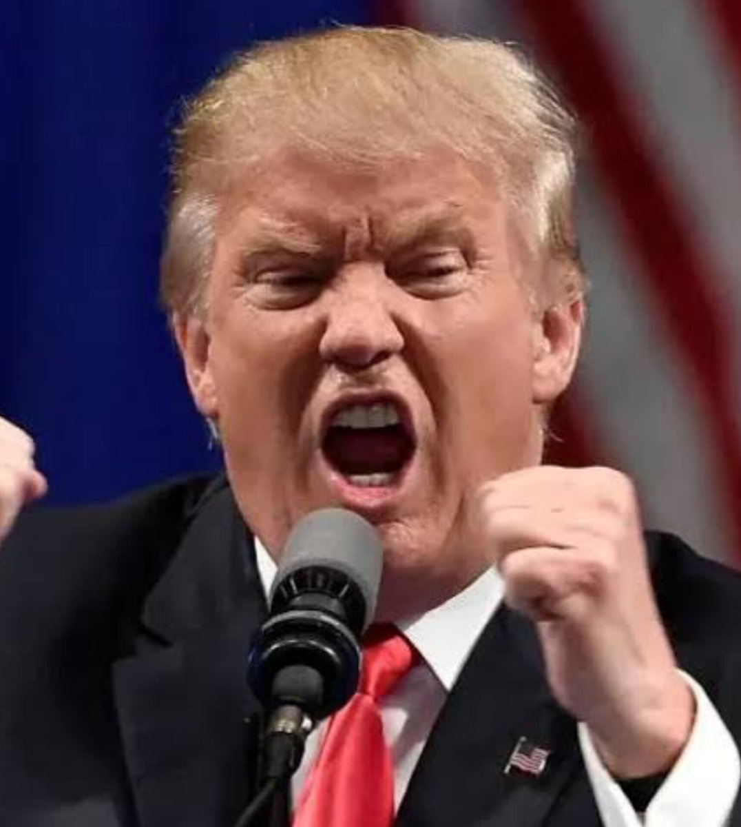 Vinicios Betiol tweet media