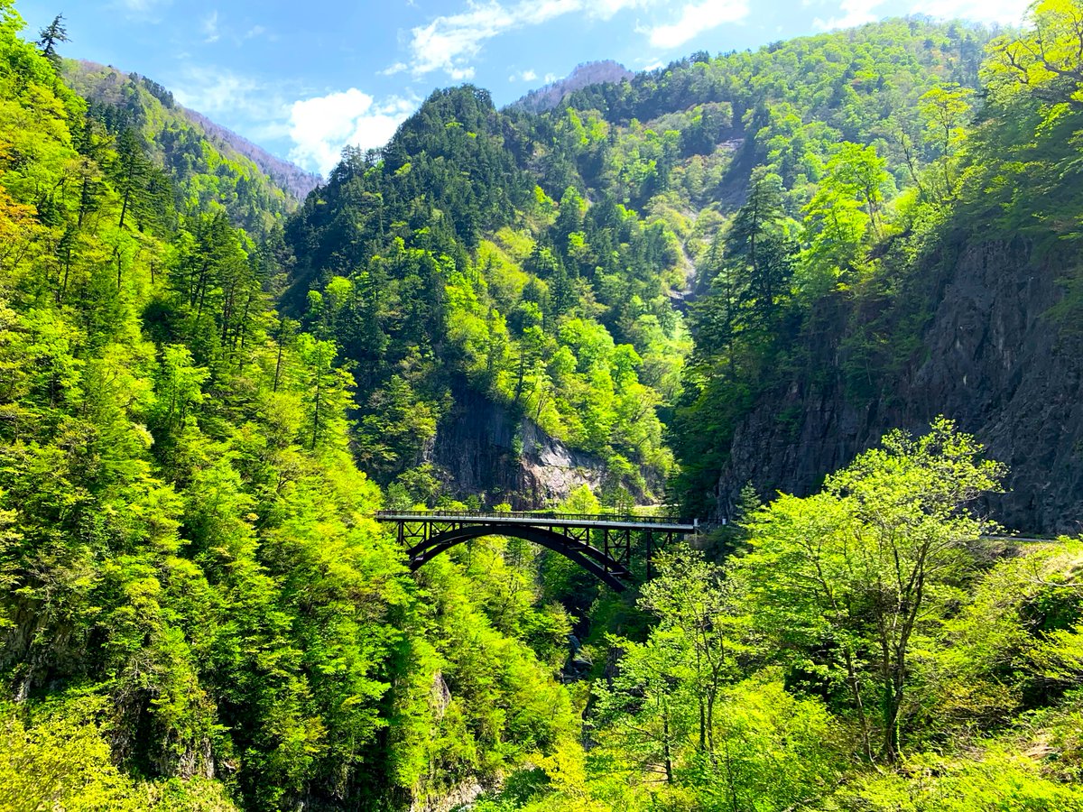 白山白川郷ホワイトロード【公式】 tweet media