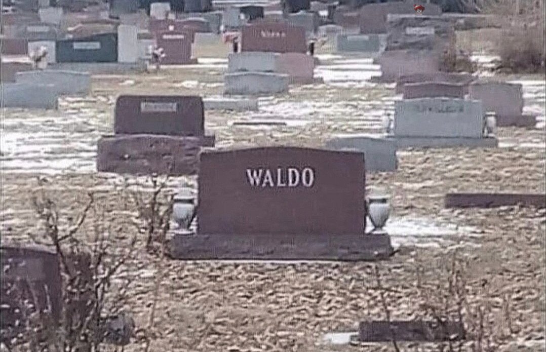 HowlingWaldo tweet media