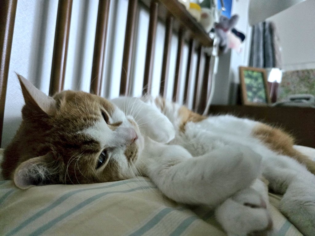 순대만 주세요 tweet media