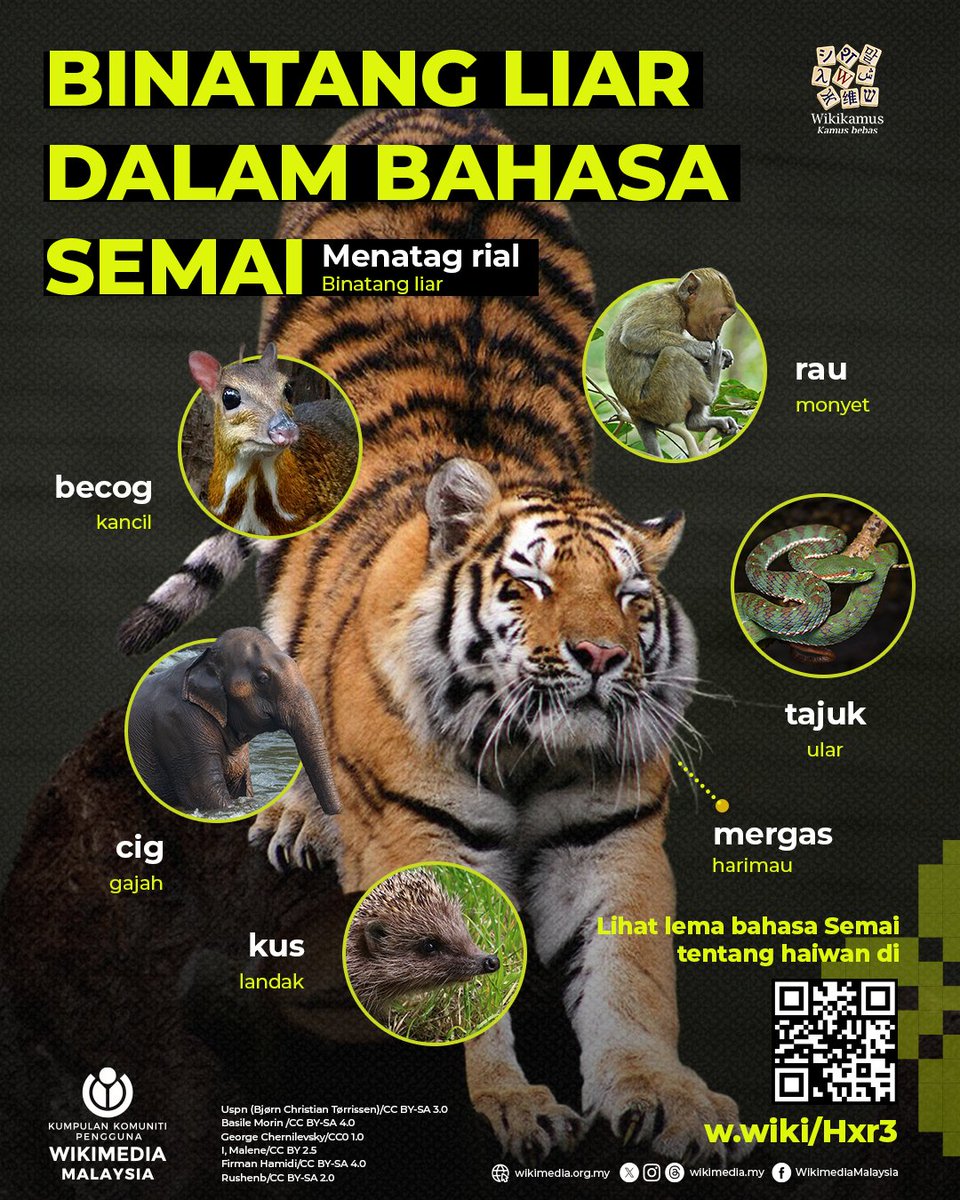 Setiap 3 Mac, dunia meraikan Hari Hidupan Liar Sedunia. 

Dalam bahasa Semai, hidupan liar disebut dengan menatag rial. Tahukah anda mengenai nama hidupan liar dalam bahasa Semai?

Baca di Wikikamus: w.wiki/Hxr3

#worldwildlifeday
#wikimediamalaysia