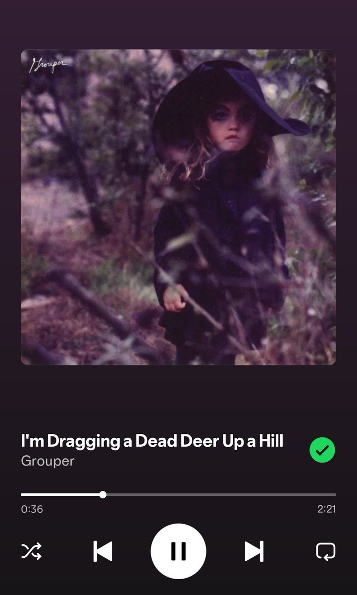 roscoe (the new) raccoon tweet media