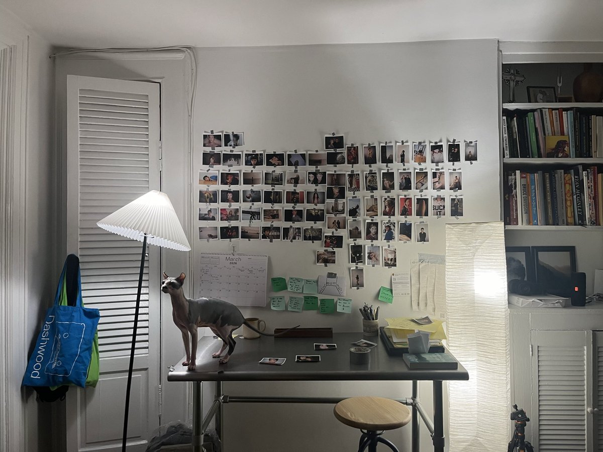 Lee Foxcliff tweet media