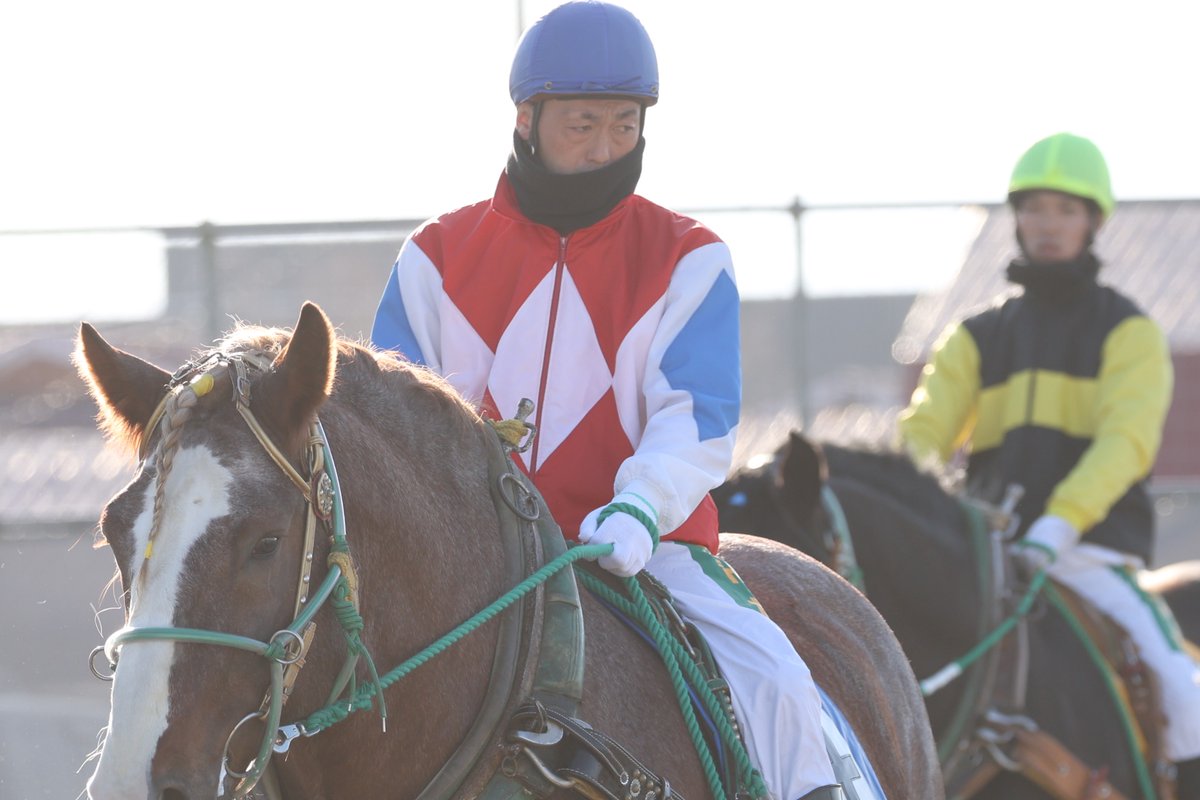 ばんえい十勝 (@banei_tokachi) / Posts / X