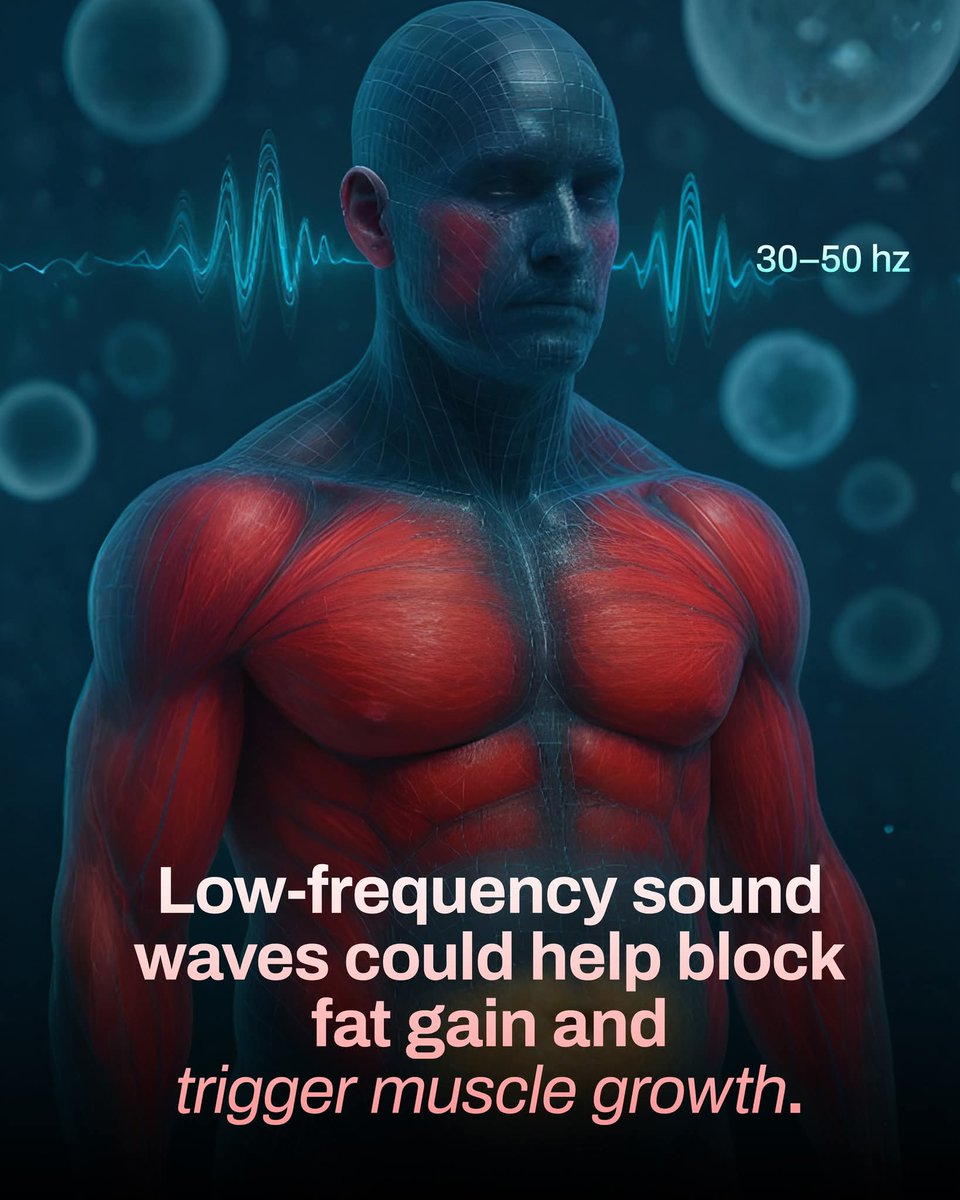Shining Science tweet media