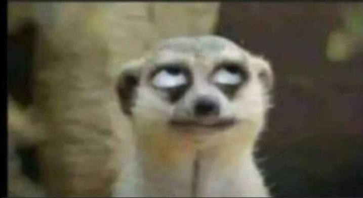 •WABOYA• tweet media