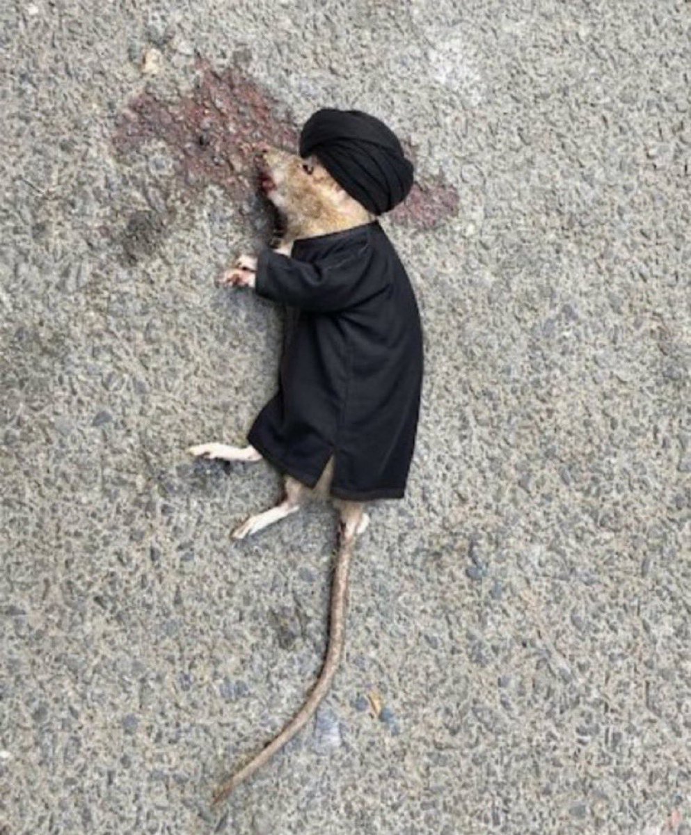 شـاهـيـن . tweet media