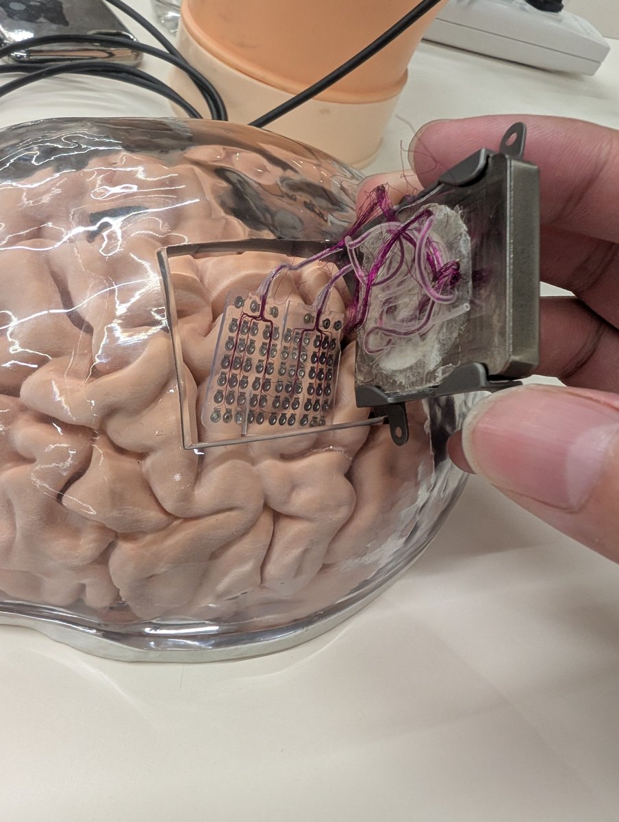 コレット楽器 tweet media