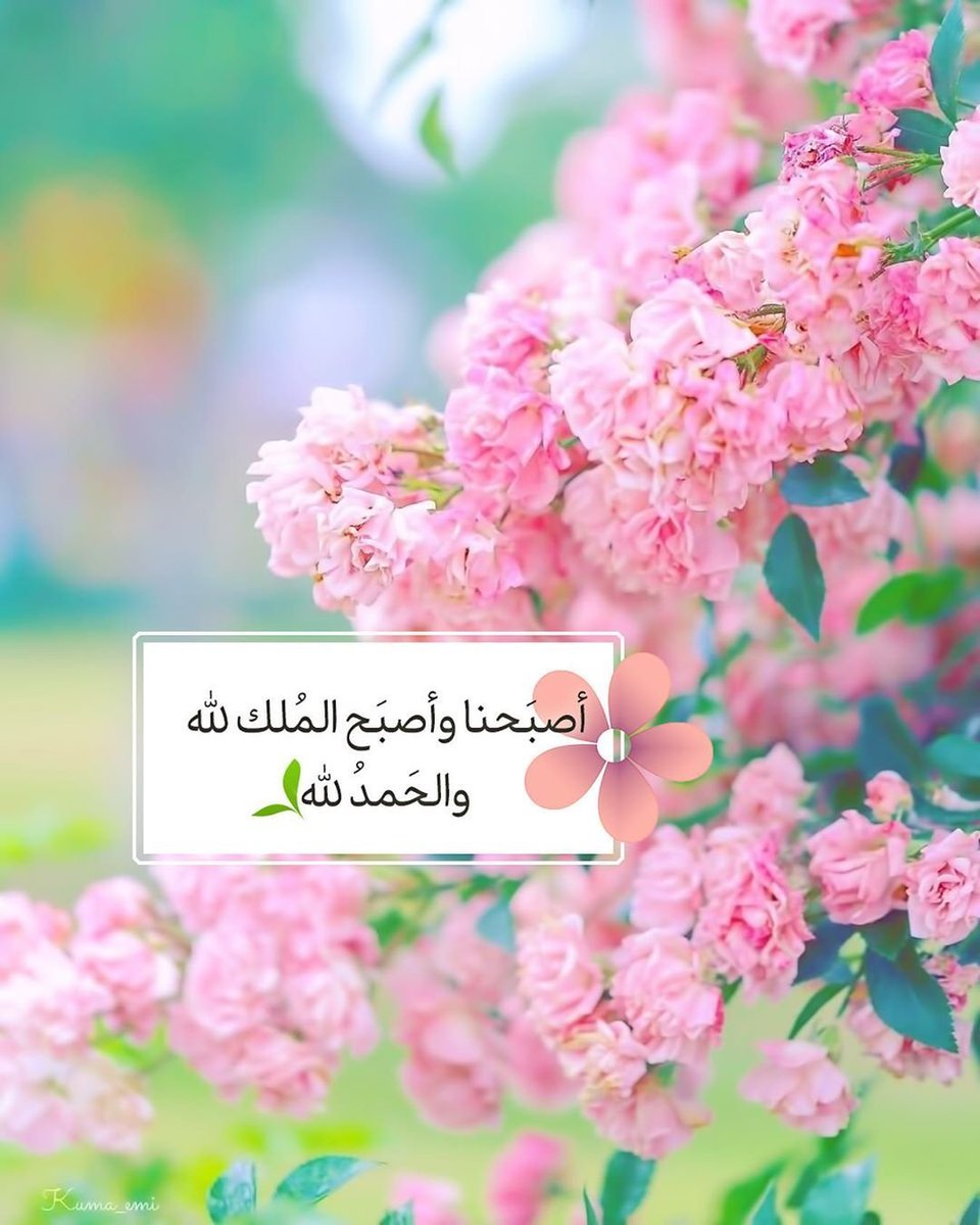 همسات_عمانية tweet media