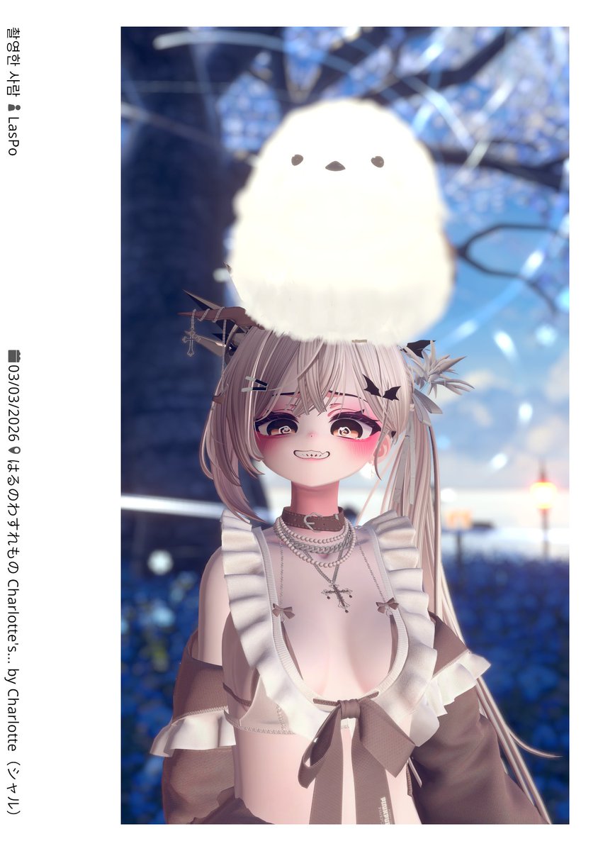 claretofu's tweet photo. 🕊️
📷: @VRC_LasPo 🧡 https://t.co/DrcDnv48Fd