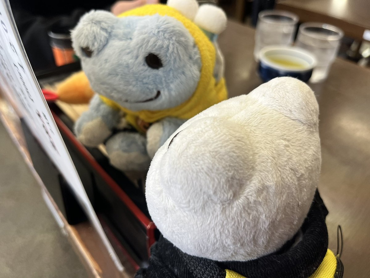 ピク♡旅 tweet media
