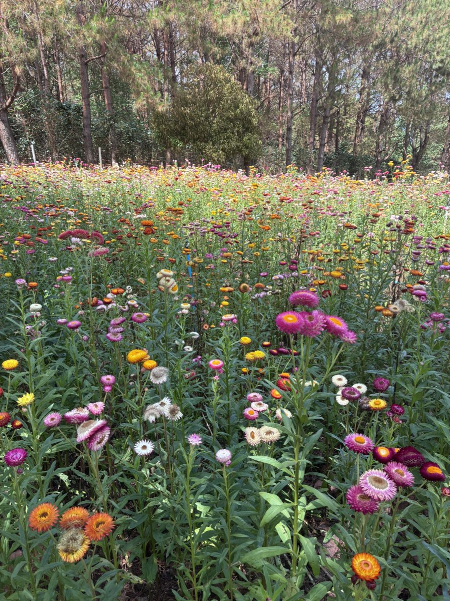 一希Easy_7777 tweet media