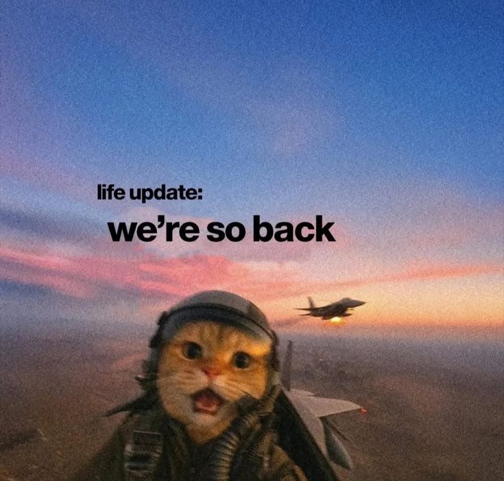 Rise and shine ladies and gentlemen