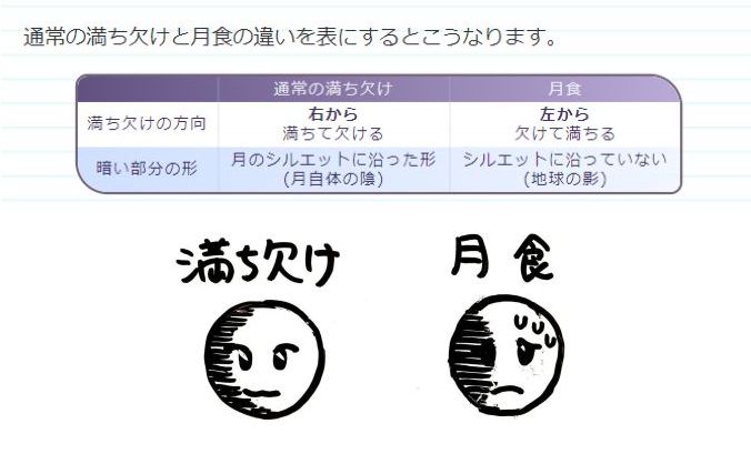 本日までの値下げ❕奨学社　無記入☆　小１　理科 Amazon.co.jp: 【理科608】新版 たのしい理科 6年 [令和6年度] 小学校