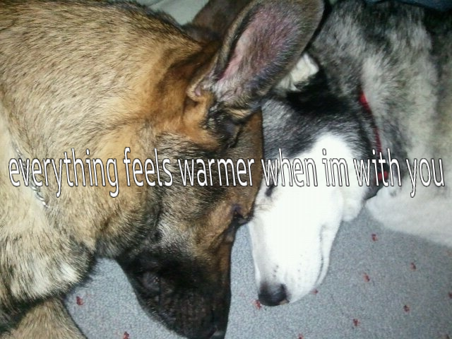 Aspen Woofington P. tweet media