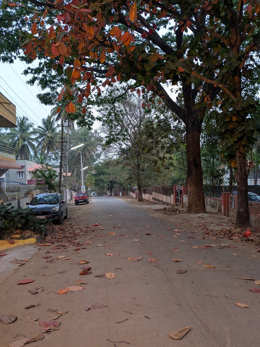 Varun Rao tweet media