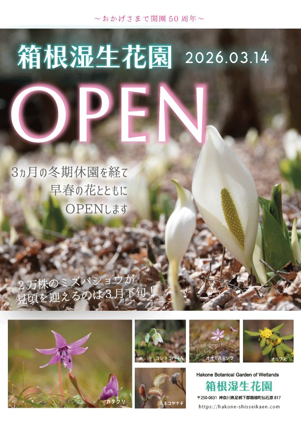 箱根湿生花園の2026年の開園日が正式に決定しました。 3月14日（土）9