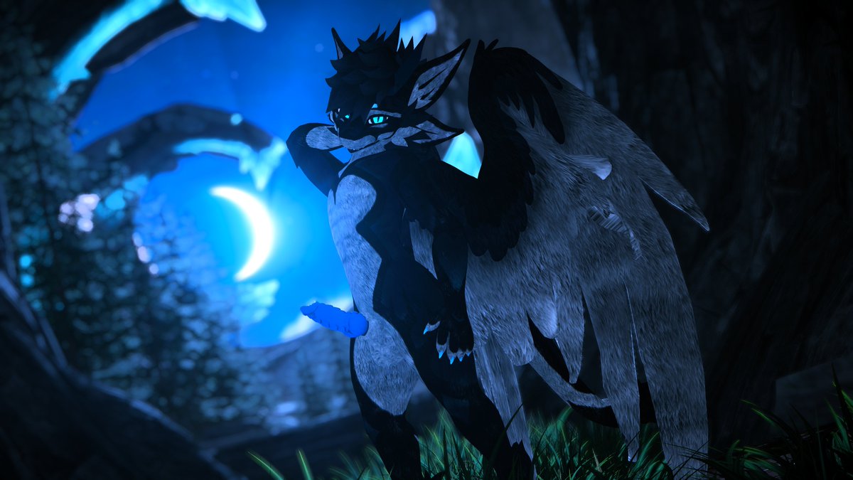 Asher Foxx tweet media